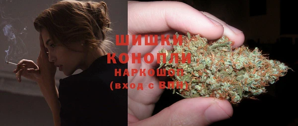 тгк Заводоуковск