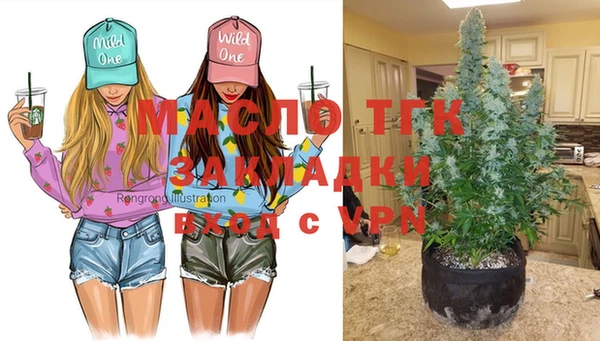 тгк Заводоуковск