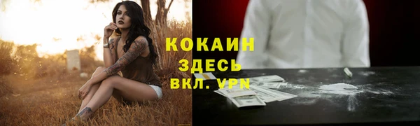 тгк Заводоуковск
