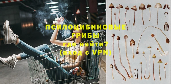 тгк Заводоуковск